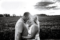 EDIT6BW