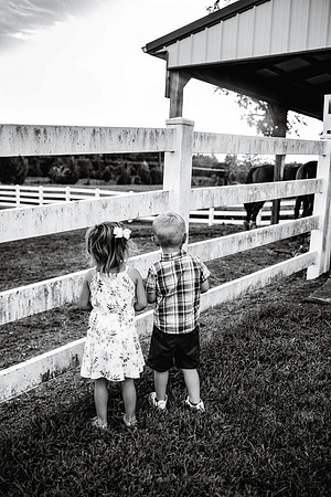 EDIT66BW