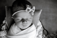 EDIT5BW