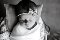 EDIT9BW