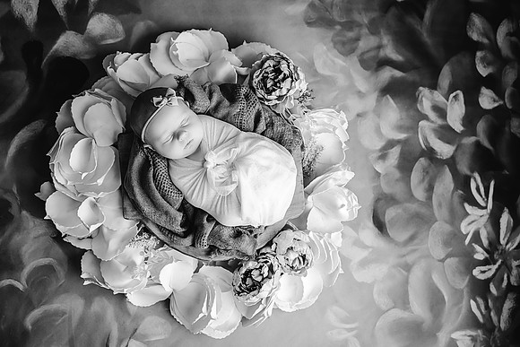 EDIT16BW